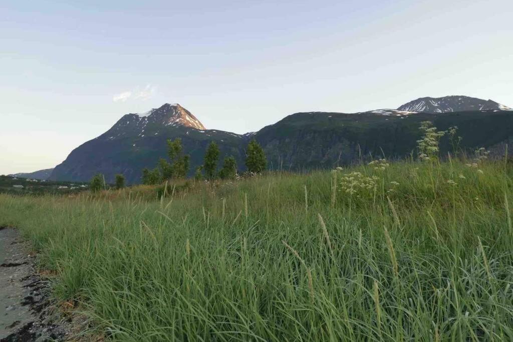 Villa In The Heart Of The Lyngen Alps, Holmen I Lyngen Lyngseidet Esterno foto
